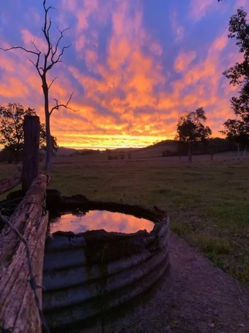 Stay At The Barn... Immerse Yourself In Nature. Kenilworth Holiday home